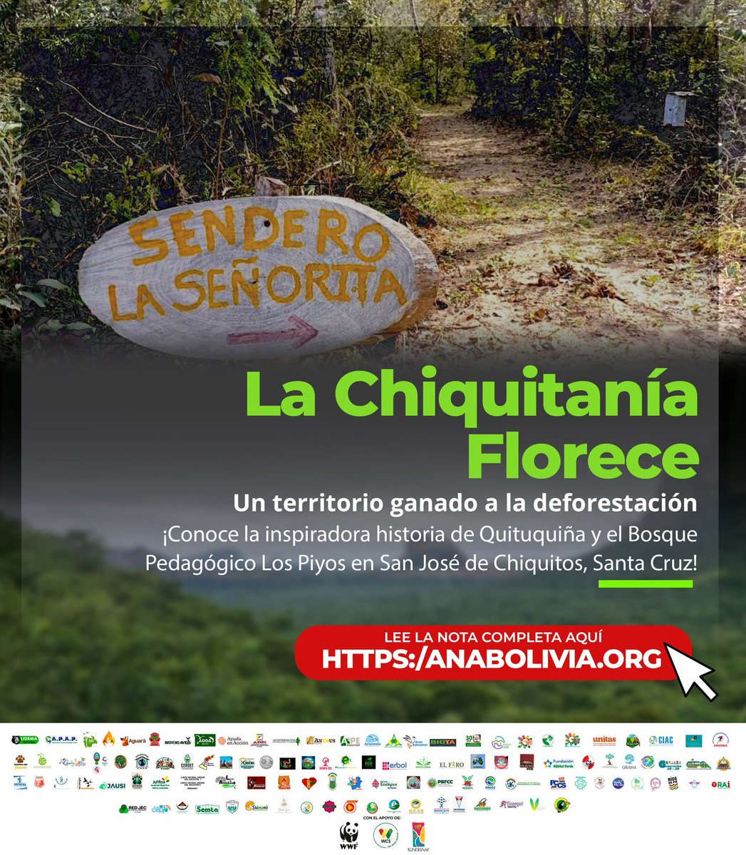 Fundación Hábitat Verde (@verdehabitat) on Twitter photo 