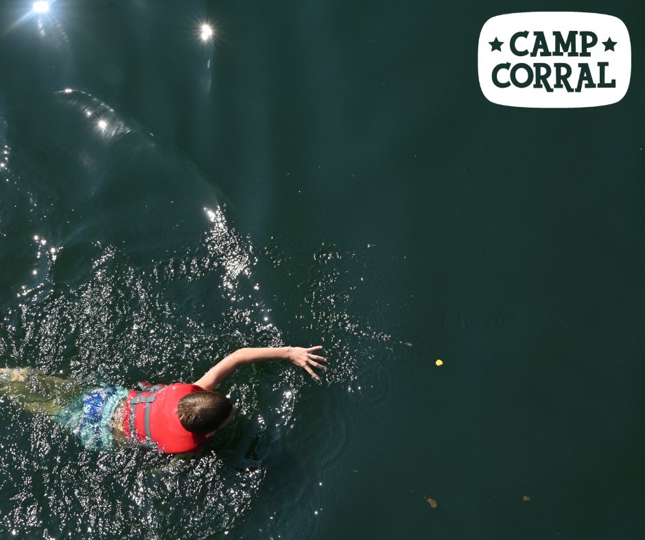 CampCorral's tweet photo. You'll NEVER believe what just happened ---
Team NAVY is swimming away (get it?) with the lead!

Visit https://t.co/6nObTF23Yi to see the latest numbers!
Decide which branch will win this year's Military Branch Challenge! https://t.co/KuBMuFG7RI