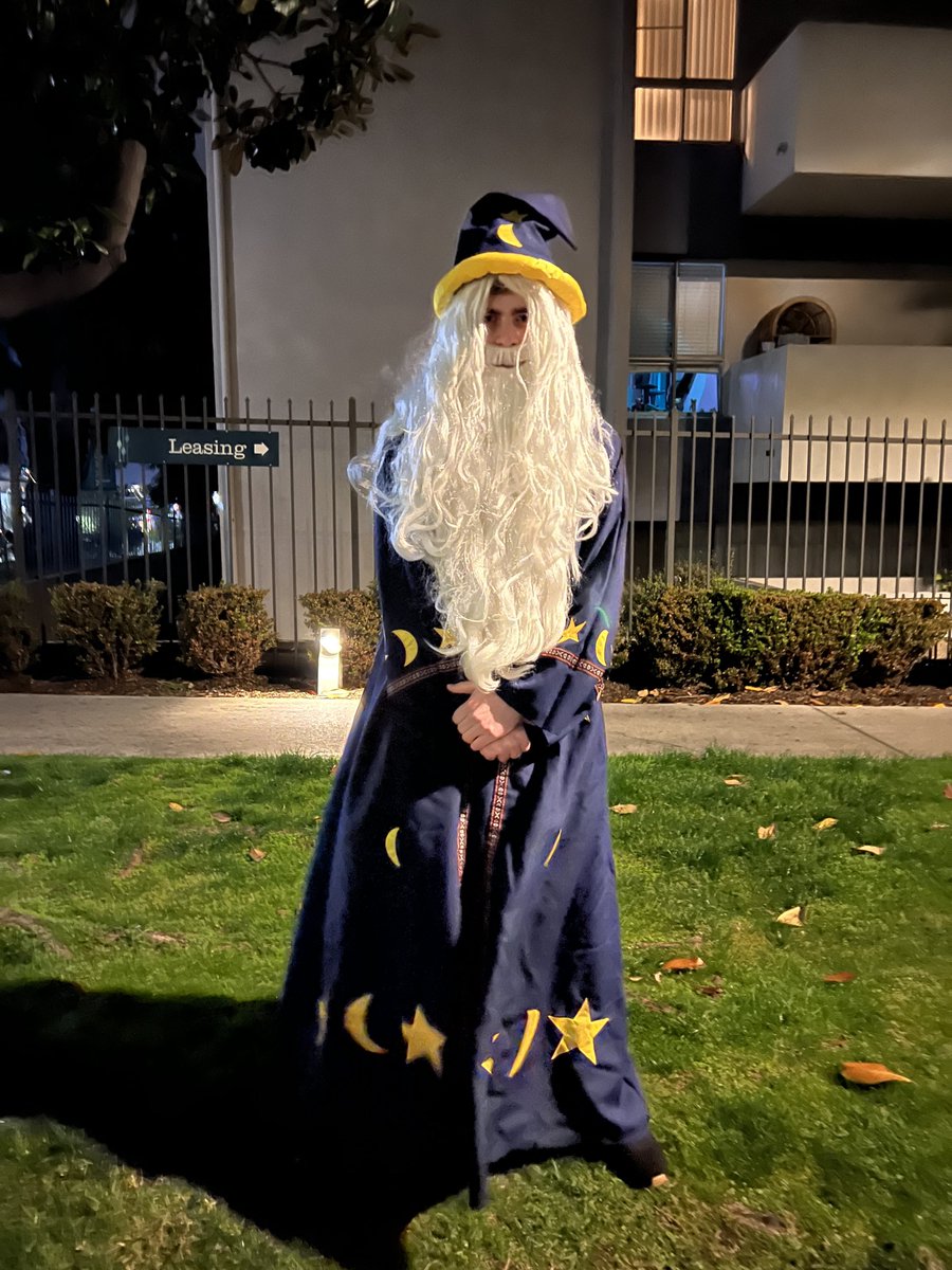 Still cant believe I once dressed as a wizard for an NFT I didn’t even get WL for 😭