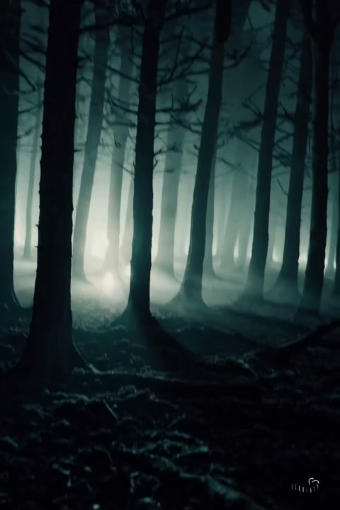 Cihath's tweet image. Sous le ciel reveur, un souvenir chaleureux s�eleve tandis que les echos adoucissent l�air.