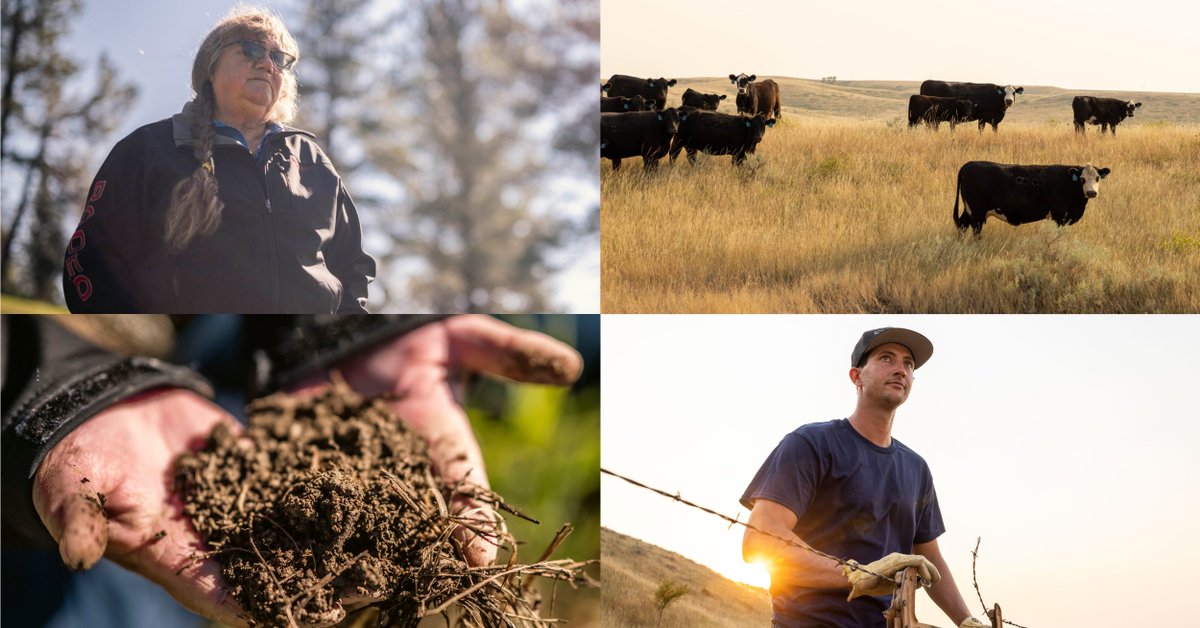 IACupdate's tweet image. This season, we’re sharing stories from producers like April Martin and Thad Rose, whose stewardship is reshaping the future of their lands and communities.

Learn how your support is helping expand regenerative management:  indianag.org/post/invest-in…

#GivingTuesday #GiveNative