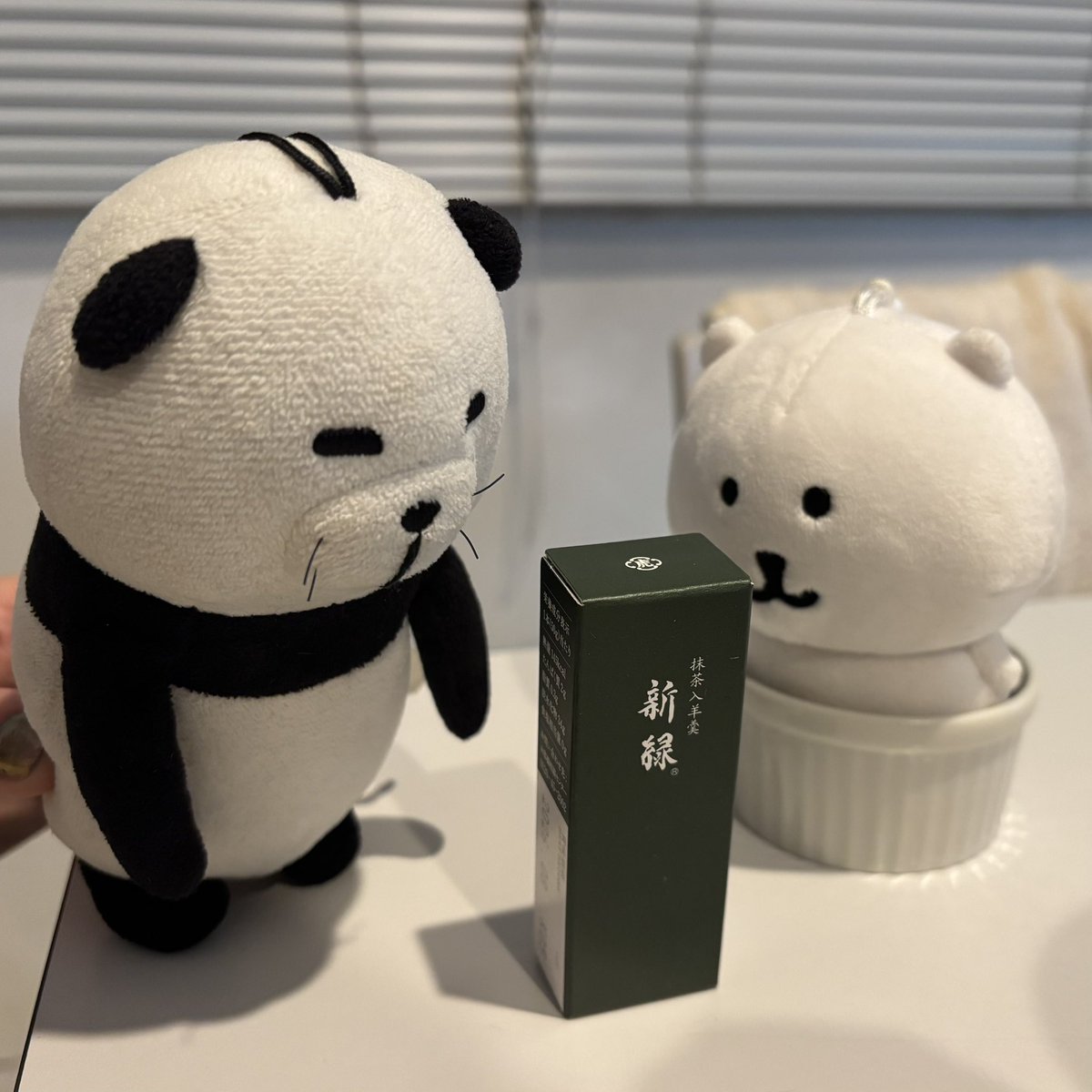 chan_theGenius's tweet photo. 主にナガノのくま、オリキャラのポーちゃん🐼たちに癒されるぬい活人間です！

ぬい以外のことも呟きますが、ぬい友さんと繋がれたら嬉しいです₍ᵔ· ̫·ᵔ₎♡

 #ぬい活 
 #ナガノのくま https://t.co/kEXf4mkIiq