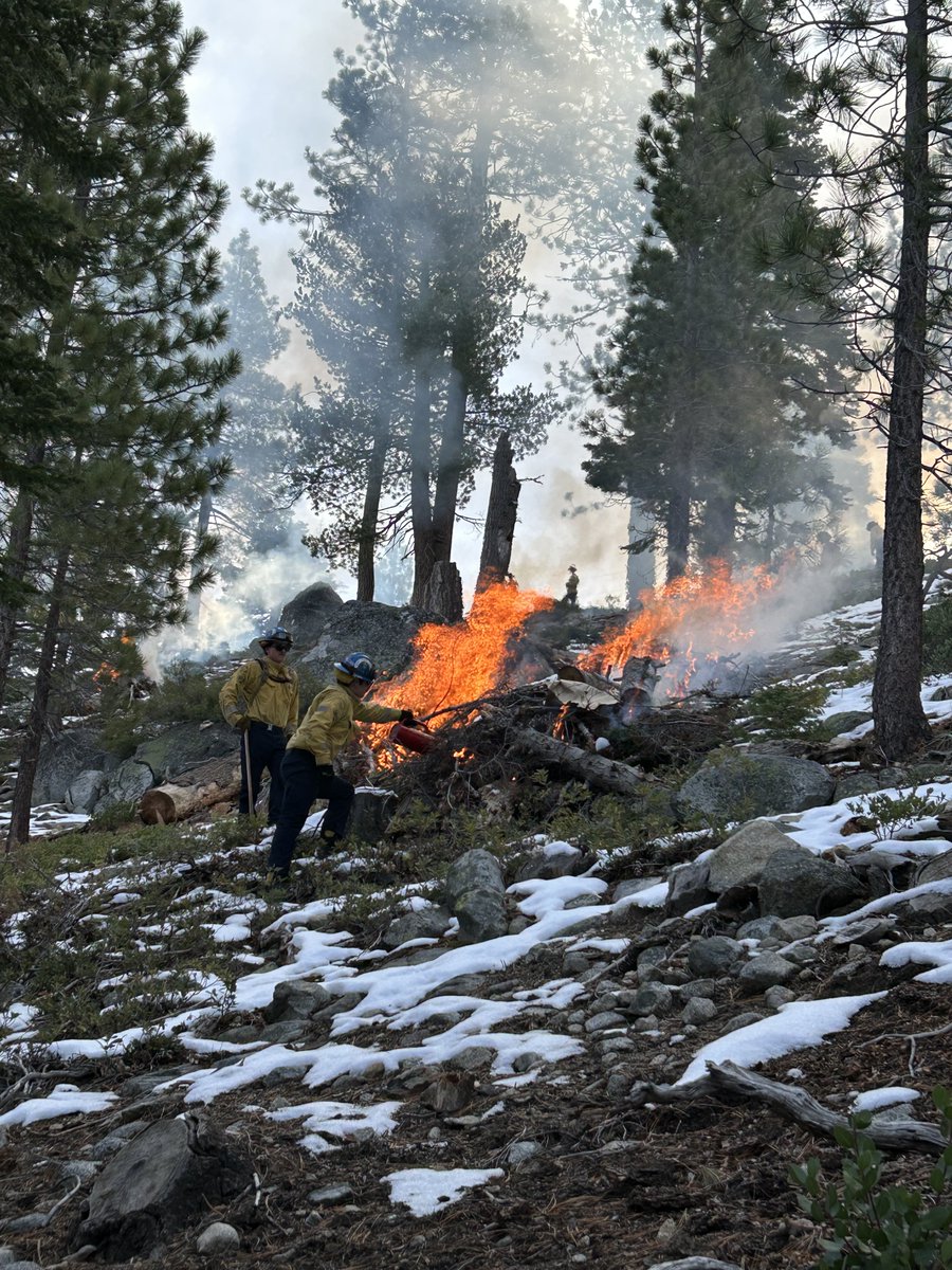 CaliforniaTahoe's tweet photo. The Tahoe Conservancy is conducting prescribed burns today on 6 acres of Conservancy land in the Tahoe Hills neighborhood on the west shore, in collaboration with @CALFIREAEU. Visit https://t.co/539cvzOyWO to learn how prescribed fire helps improve forest &amp; wildfire resilience. https://t.co/wEHpa71G6P