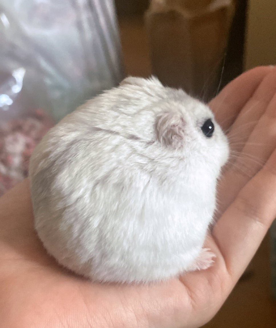 binarycircuitss's tweet image. Nobody gets it like i do.