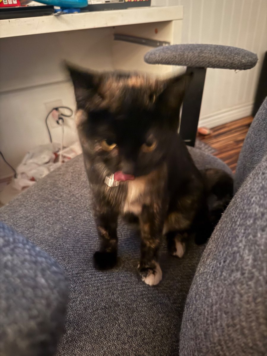 verdddant_'s tweet image. 