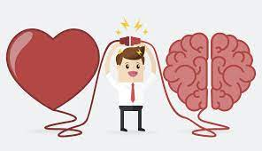 jfabgat's tweet photo. @Eleassar679 @CTercermundista @DosRunas Con el cerebro buscamos la verdad; con el corazón, la felicidad. Al tener ambos en el lugar donde corresponden, la vida es más emocionante. 

Si se desubica de su posición solamente se obtendrán falacias y/o amargura. https://t.co/H1D9hgEr4m