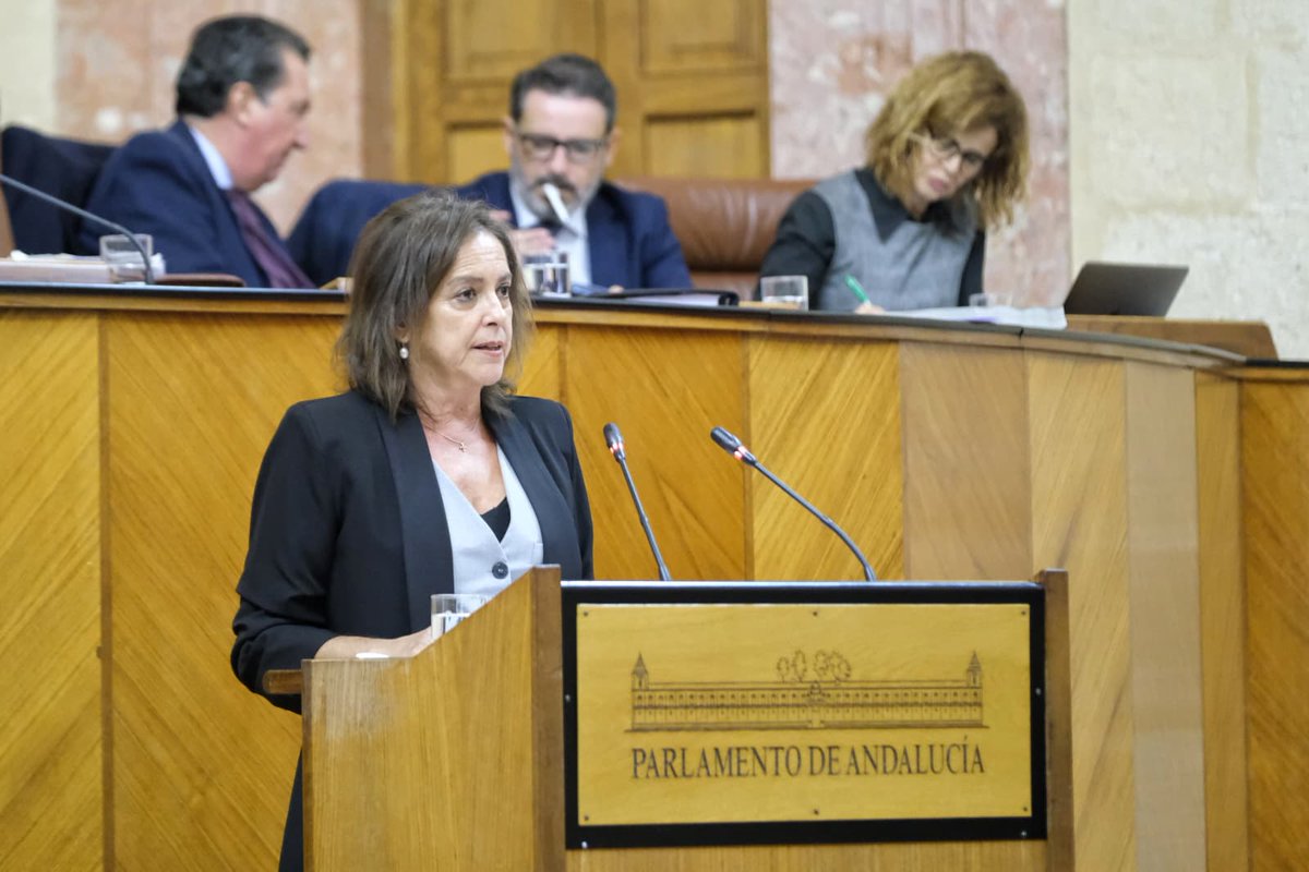 🟢El Proyecto de Ley de Montes de Andalucía supera el debate de totalidad en el Parlamento.

➡️<a href="/LinaGarcia_AND/">Catalina García</a> destaca que la futura norma moderniza, simplifica y fortalece la gestión forestal y la protección del patrimonio natural.

🔗opgob.es/6wutf