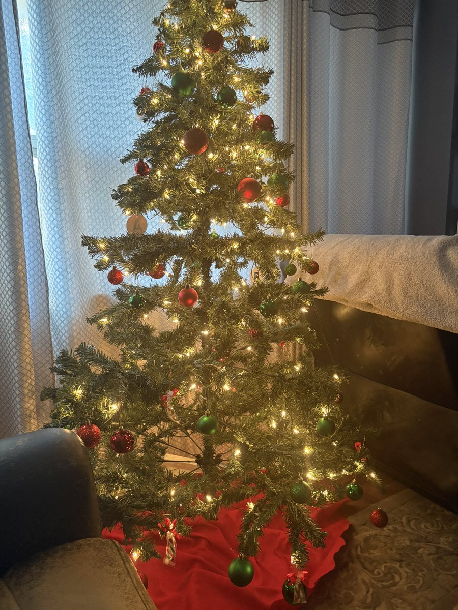 KaiBoyfriend233's tweet image. “ christmas tree “ ‼️• —— 🎄