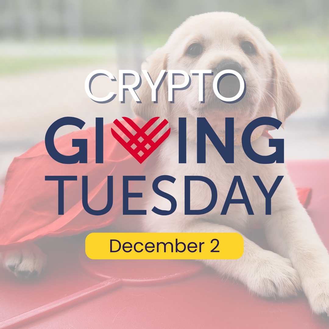 The Seeing Eye tweet media