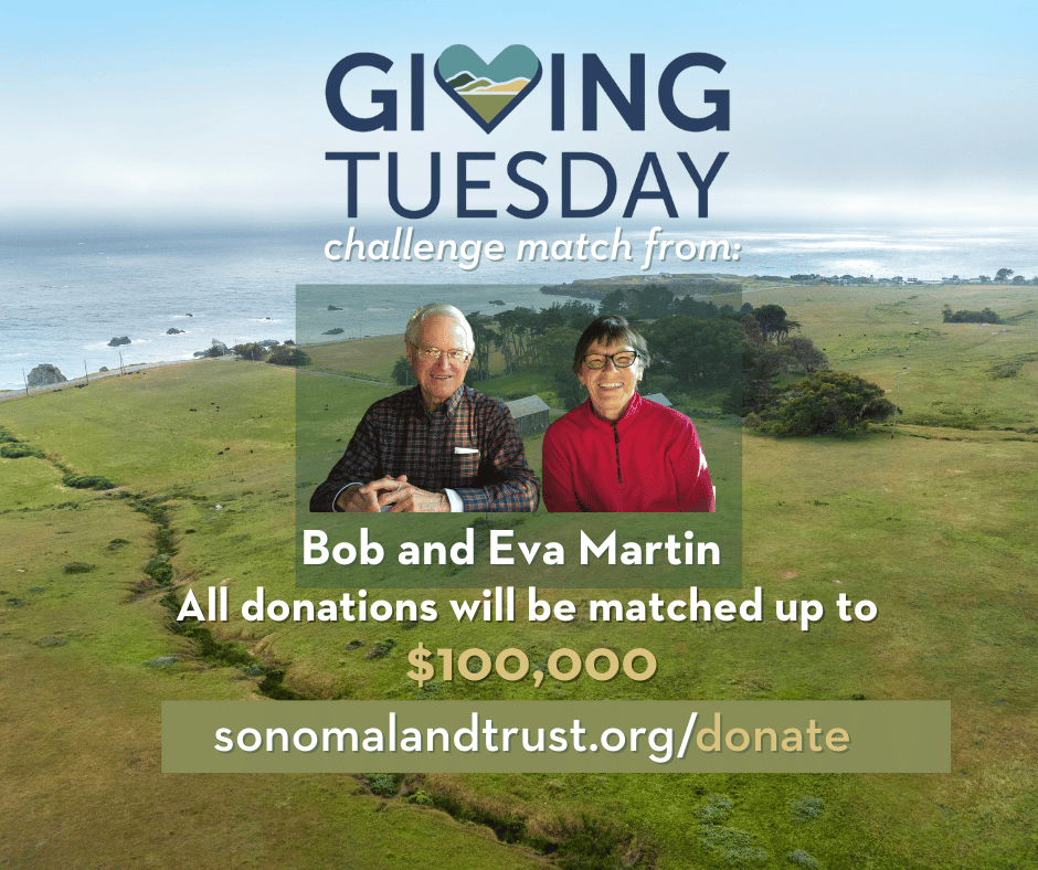SonomaLandTrust's tweet photo. It's Giving Tuesday! Your gift to Sonoma Land Trust today will be generously matched dollar-for-dollar by long-time donors, Bob and Eva Martin. Please double your impact and help us meet this $100,000 match opportunity. https://t.co/QIt1dpQ830 https://t.co/z1BeJSjLPJ