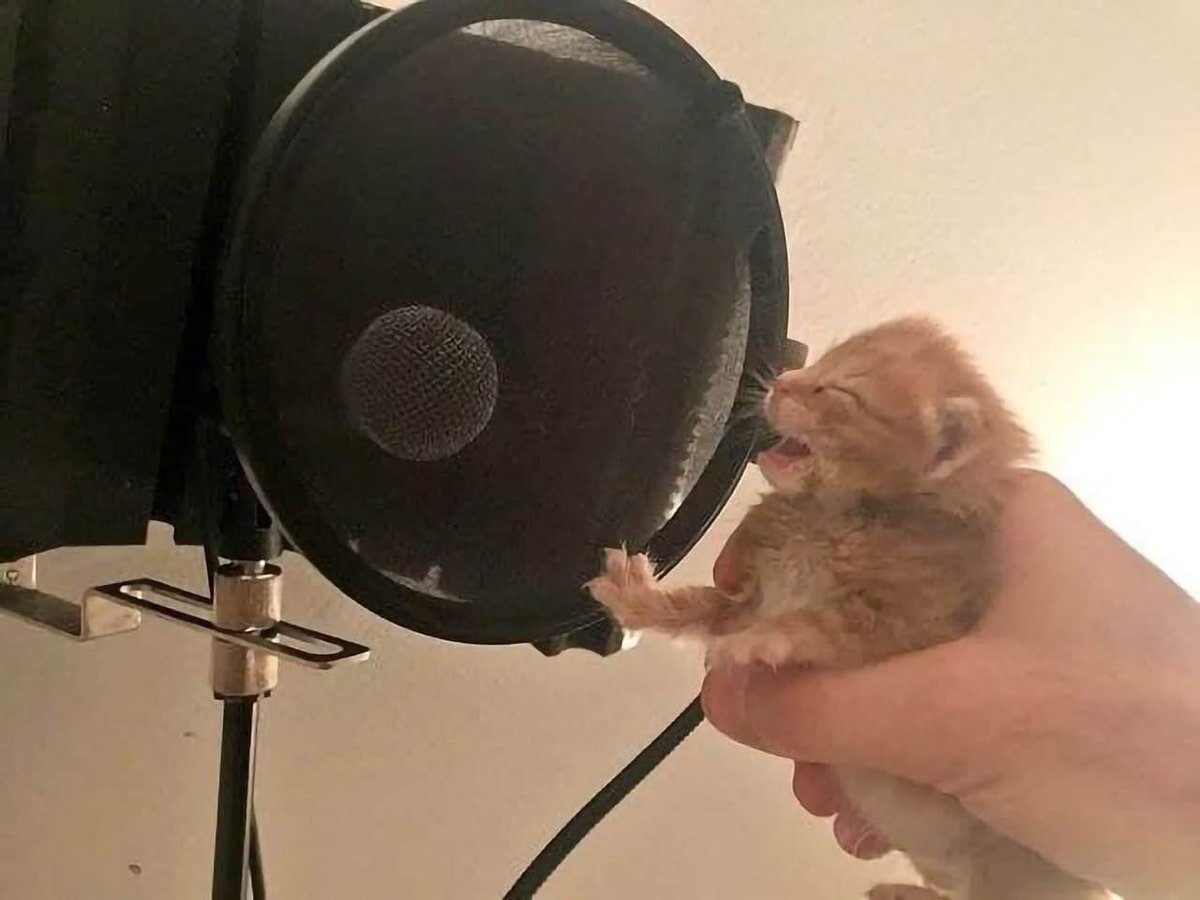 When you drown me down into the ocean
I will never let you go
Cause you are the ONLY WORKING ANTIDOTEEEEEEEEEEE