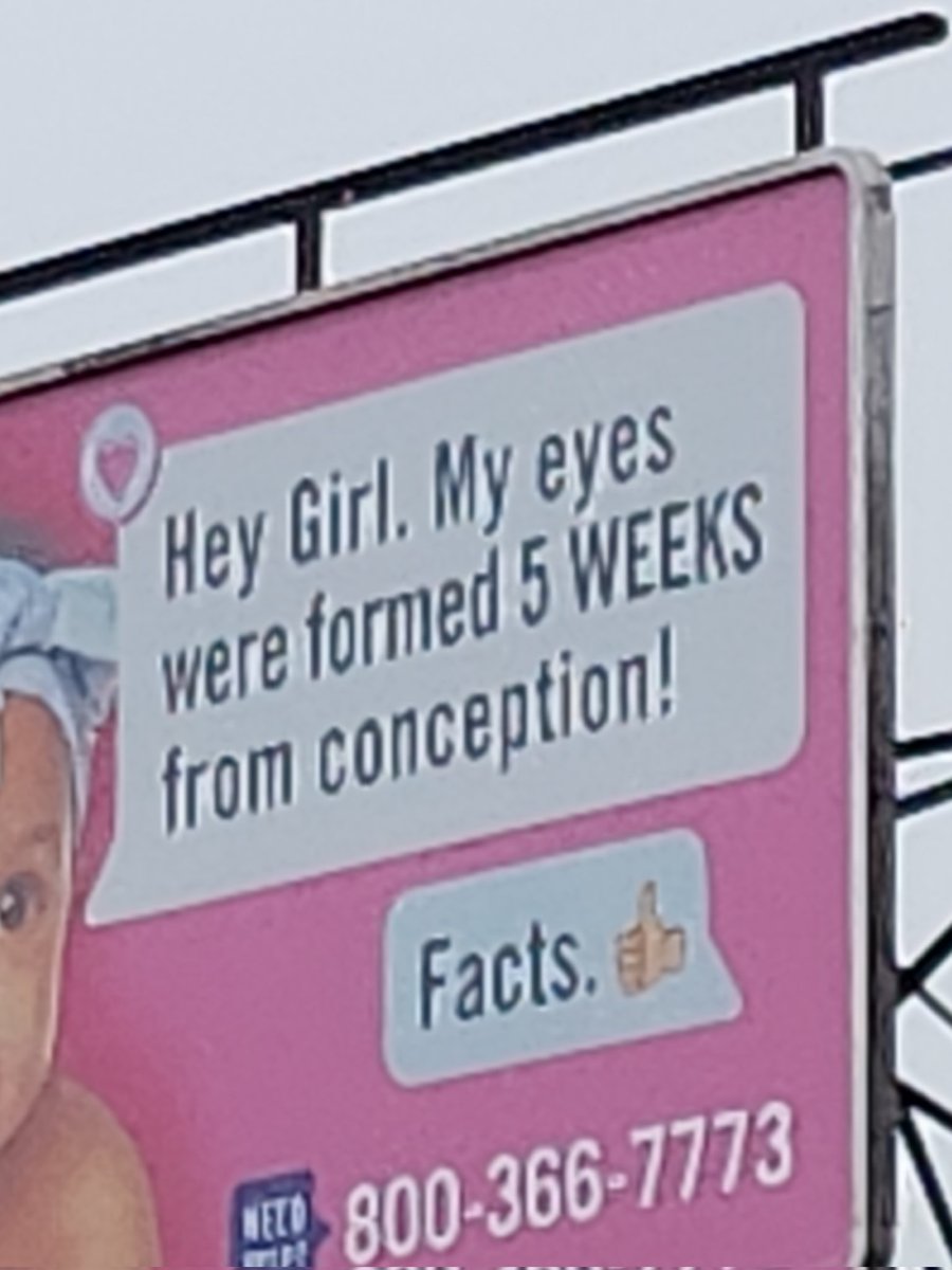 d0gtired's tweet image. Two babies texting