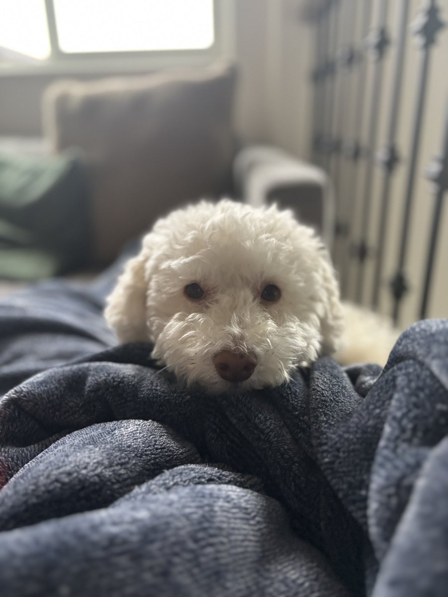 Tweet1Meta's tweet image. Waiting for ATHs and a new toy.