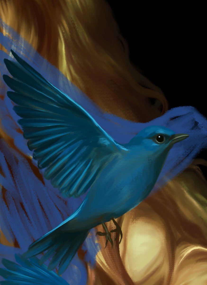 Christine_Clue's tweet image. no seriously, those birdies drive me coo coo🐦🫠