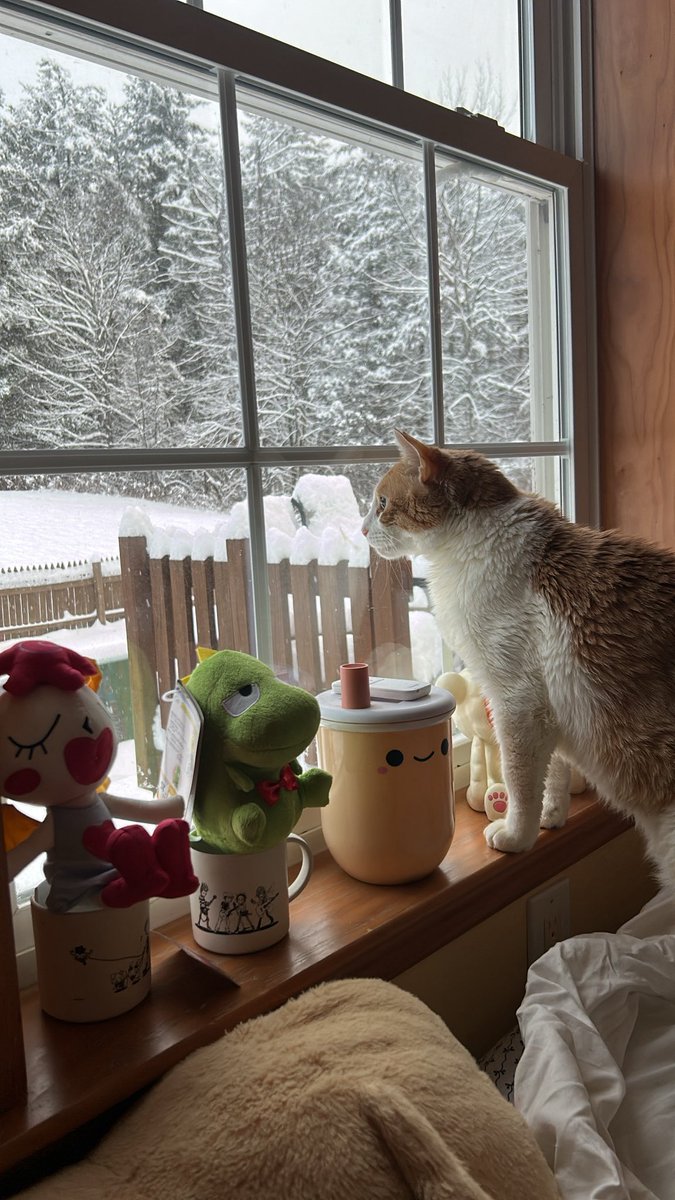 It’s snowing like crazy rn