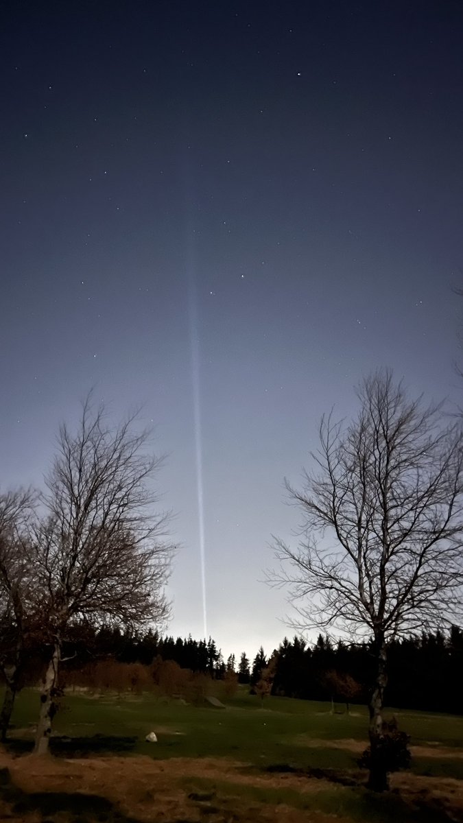 ⚡ Seánie ⚡ tweet media