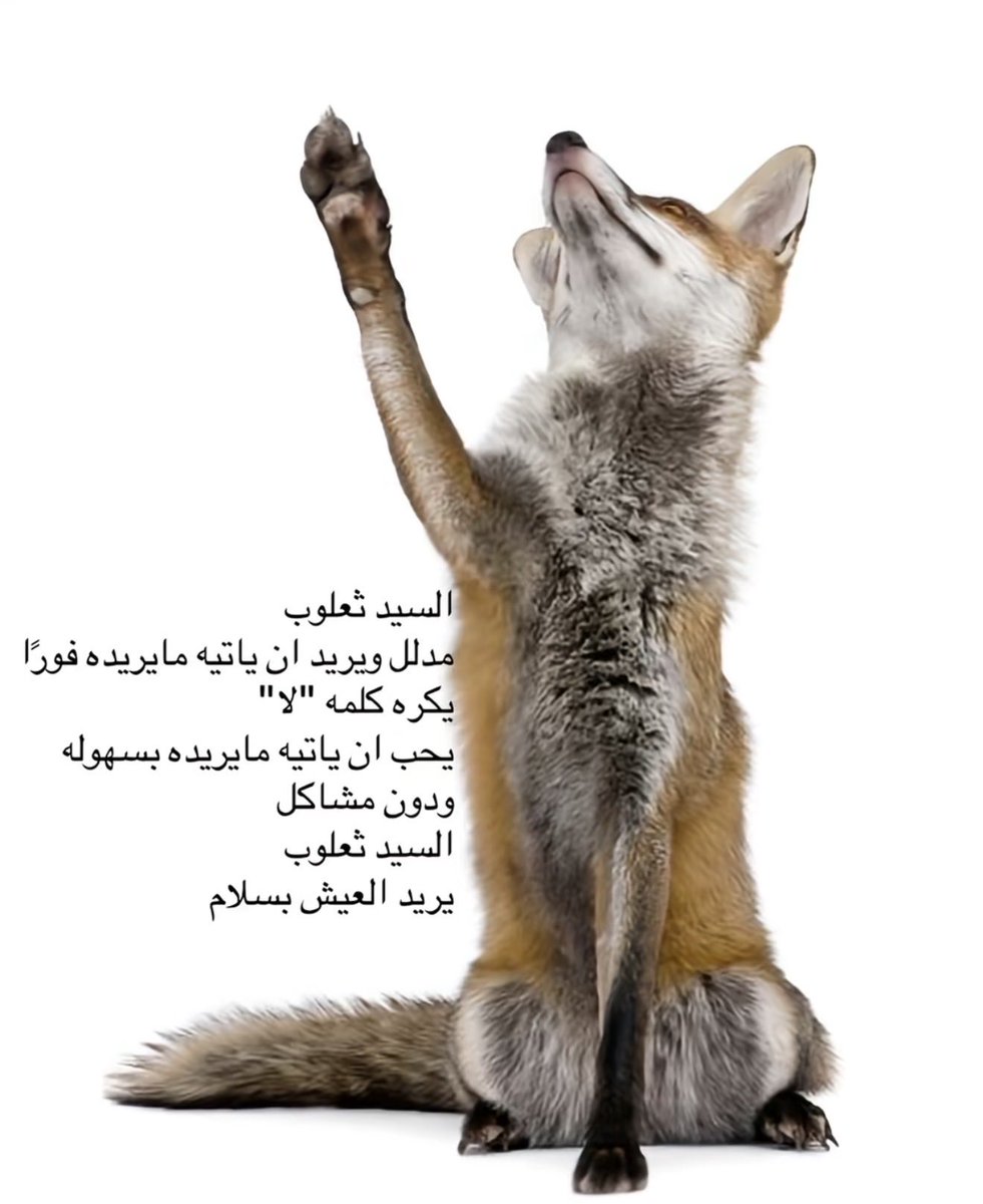 انا انا 

انا ثعلوب