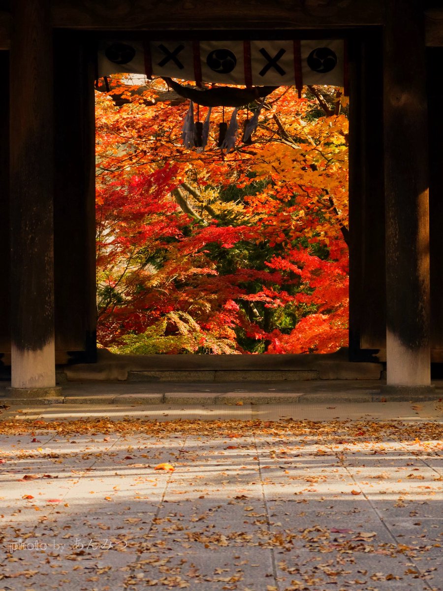 ☆あんみつ☆ (@BiDwVv7B2Uh5VYR) / Posts / X