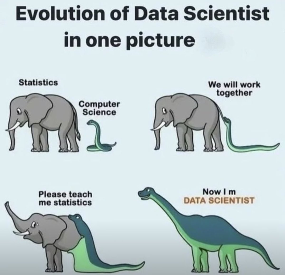 Babington4u's tweet image. 🦾 𝗧𝗵𝗲 𝗥𝗲𝗮𝗹 𝗘𝘃𝗼𝗹𝘂𝘁𝗶𝗼𝗻 𝗼𝗳 𝗮 𝗗𝗮𝘁𝗮 𝗦𝗰𝗶𝗲𝗻𝘁𝗶𝘀𝘁 — 𝗕𝗲𝘆𝗼𝗻𝗱 𝘁𝗵𝗲 𝗠𝗲𝗺𝗲

📌 𝗗𝗮𝘁𝗮 𝗦𝗰𝗶𝗲𝗻𝗰𝗲 = 𝗦𝘁𝗮𝘁𝗶𝘀𝘁𝗶𝗰𝘀 + 𝗖𝗼𝗺𝗽𝘂𝘁𝗲𝗿 𝗦𝗰𝗶𝗲𝗻𝗰𝗲 + 𝗗𝗼𝗺𝗮𝗶𝗻 𝗞𝗻𝗼𝘄𝗹𝗲𝗱𝗴𝗲