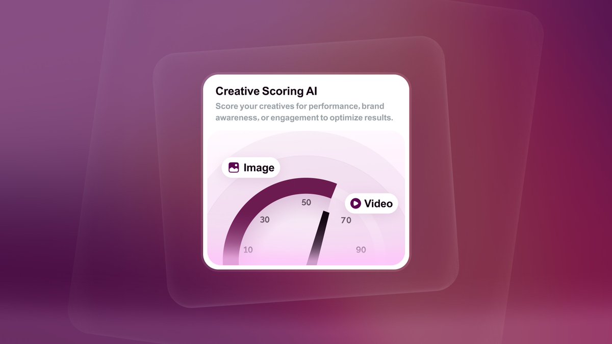 Angelina 🐉 tweet media