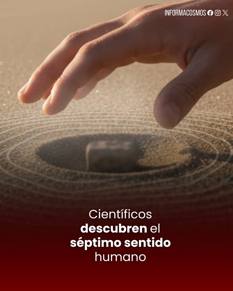 InformaCosmos's tweet image. Investigadores de la Queen Mary University de Londres descubrieron el &quot;tacto remoto&quot;, al que ya denominan el séptimo sentido humano.

Esta capacidad permite a las personas detectar objetos ocultos bajo arena u otros materiales sin contacto directo, inspirada en la habilidad de…