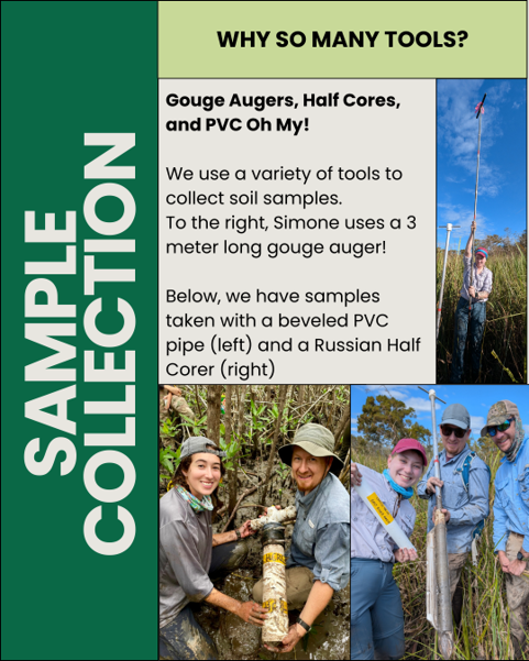 FSUMarineLab's tweet photo. Ever wondered about the tools and methods soil scientists use when collecting samples? Today's post walks you through the collection of soil samples. 🌱

#FSU #FSUCML #WorldSoilDay #SoilScience  #WetlandScience #Biogeochemistry https://t.co/5dYJygfK2x
