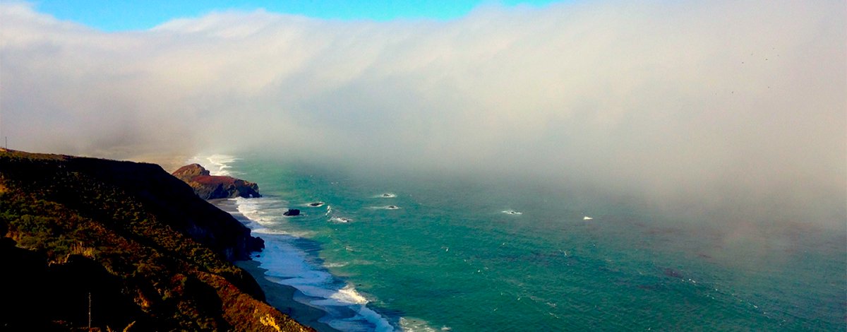 Kirby Michael Wright tweet media