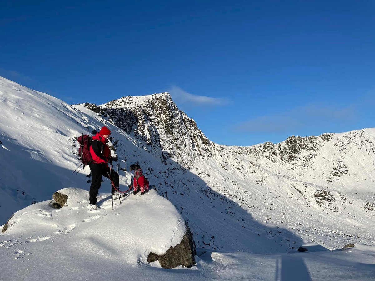 Munro Moonwalker tweet media