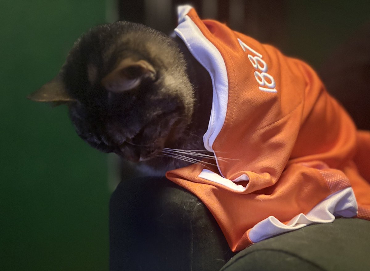 MiraUtmp's tweet photo. @BlackpoolFC I don’t even have meows for today’s performance! ❤️‍🩹🧡😾x https://t.co/JnXqeoXRcw
