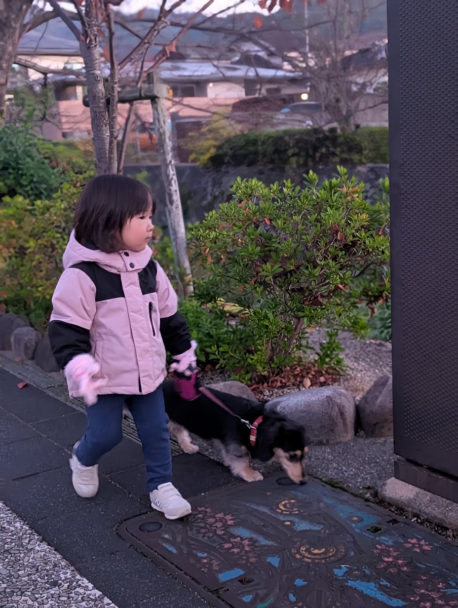 おニコ (@niconicodog0609) / Posts / X