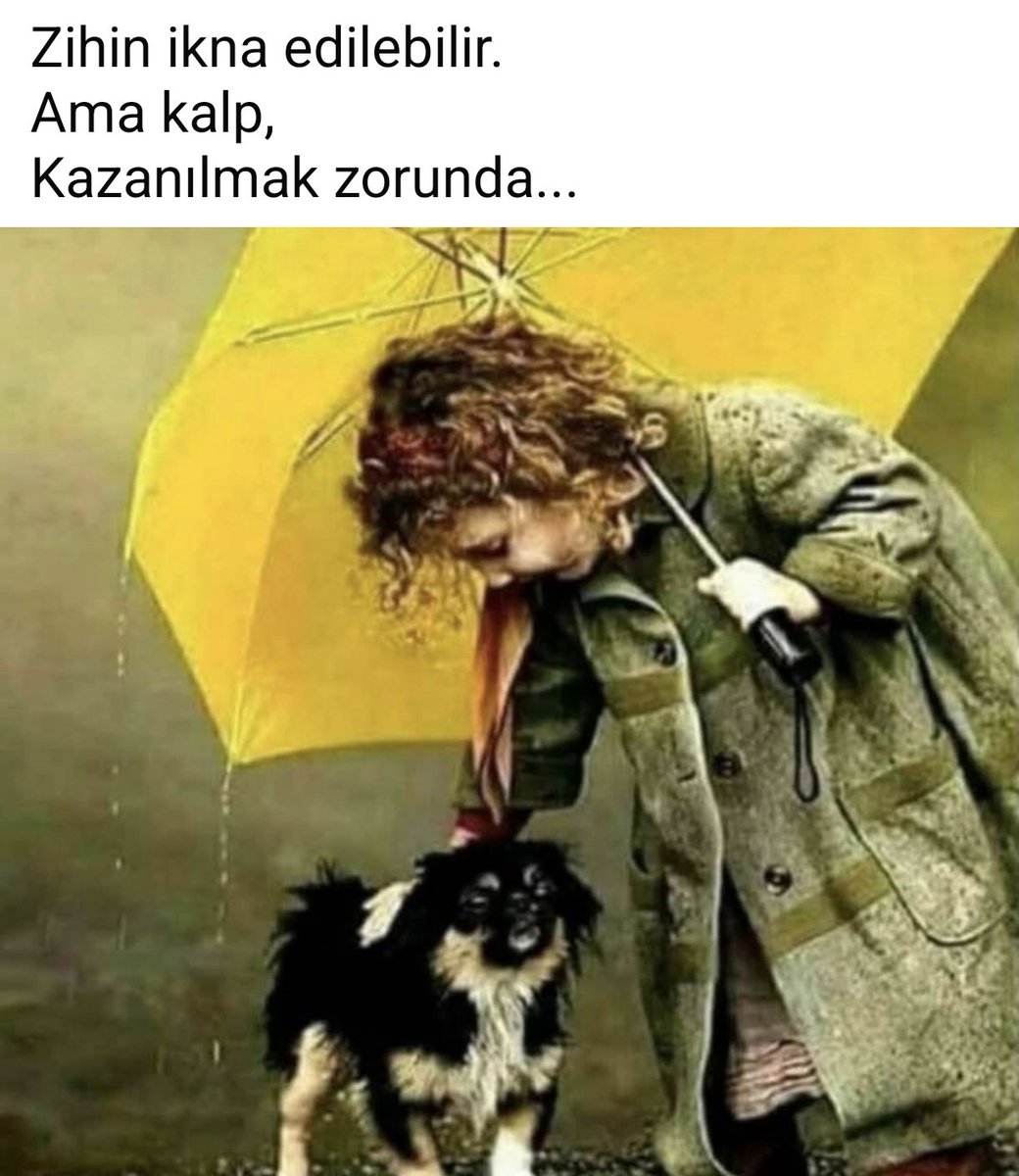 MesutMesut tweet media