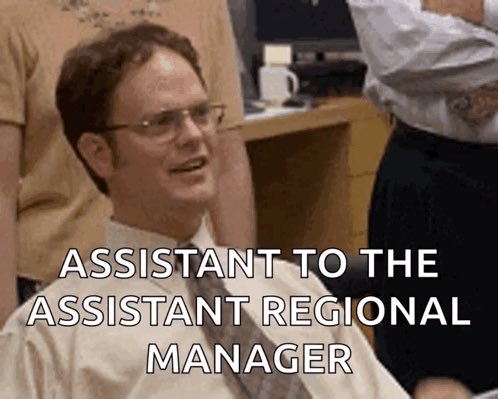 special assistant to the assistant regional manager.