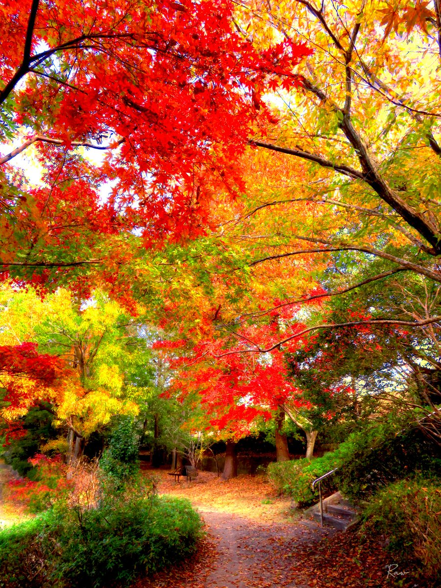 -
春風に芽吹く新緑は
陽を浴びて深緑となり

穏やかな秋風に紅葉し
冷たい木枯しに吹かれ

ヒラヒラと枯れ落ちる

年々歳々　四季は巡れど
同じ景色はひとつもなく

生々流転　人の生き様も
同じ歩みはひとつもなく

セカセカと駆け抜ける

時に埋もれた足跡は
胸に刻んだ生きた証
-