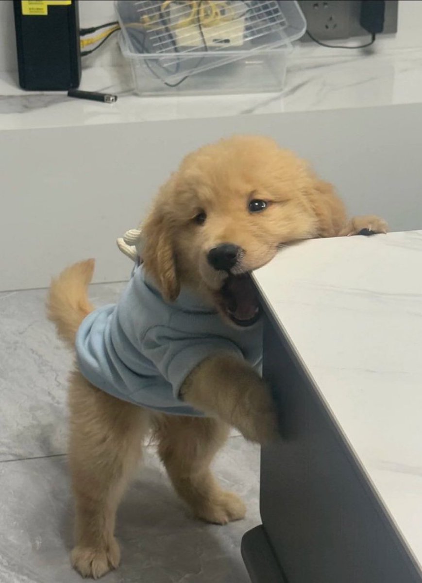 โกดเบบี๋