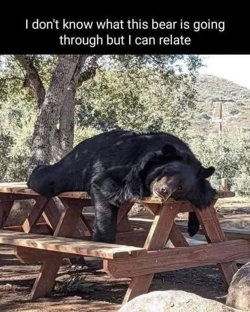 HelpATeacher's tweet image. Same.