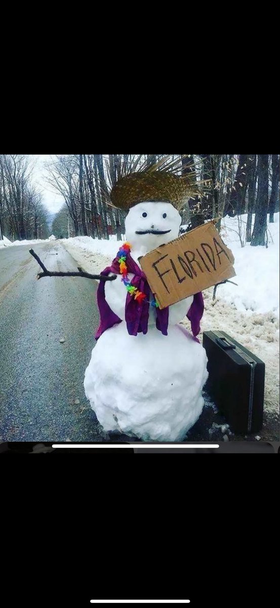 thoma31083's tweet image. My snowman said he’s had enough !😂