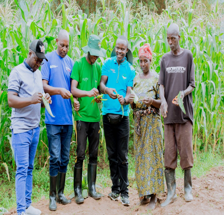 Forest of Hope (FHA) tweet media