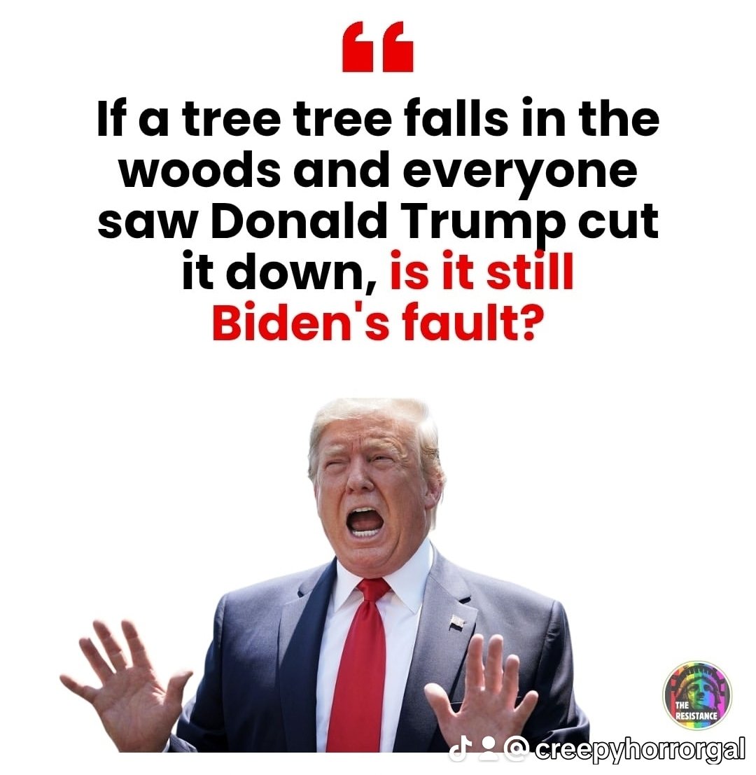 🪓 Trump chops the tree  
👀 Everyone watches  
🧠 GOP: “We need more evidence. Maybe a tree diary. Or a squirrel affidavit."

🎪🍫🤬 #MAGA #DonaldTrump #Treason #Trump #FDT 🤬🍫🎪