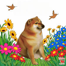 loading_all's tweet image. Just the begimming

$cheems