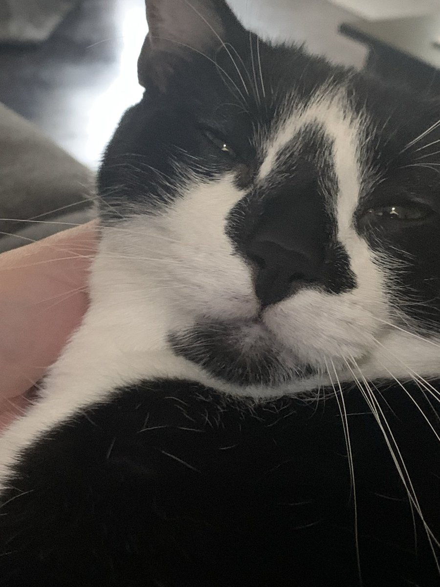 Tori 🦇🔪☠️ tweet media