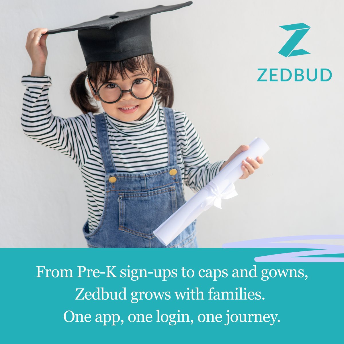 zedbud tweet media