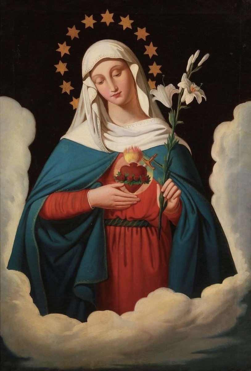 Apostolado Montfort 🇻🇦 tweet media