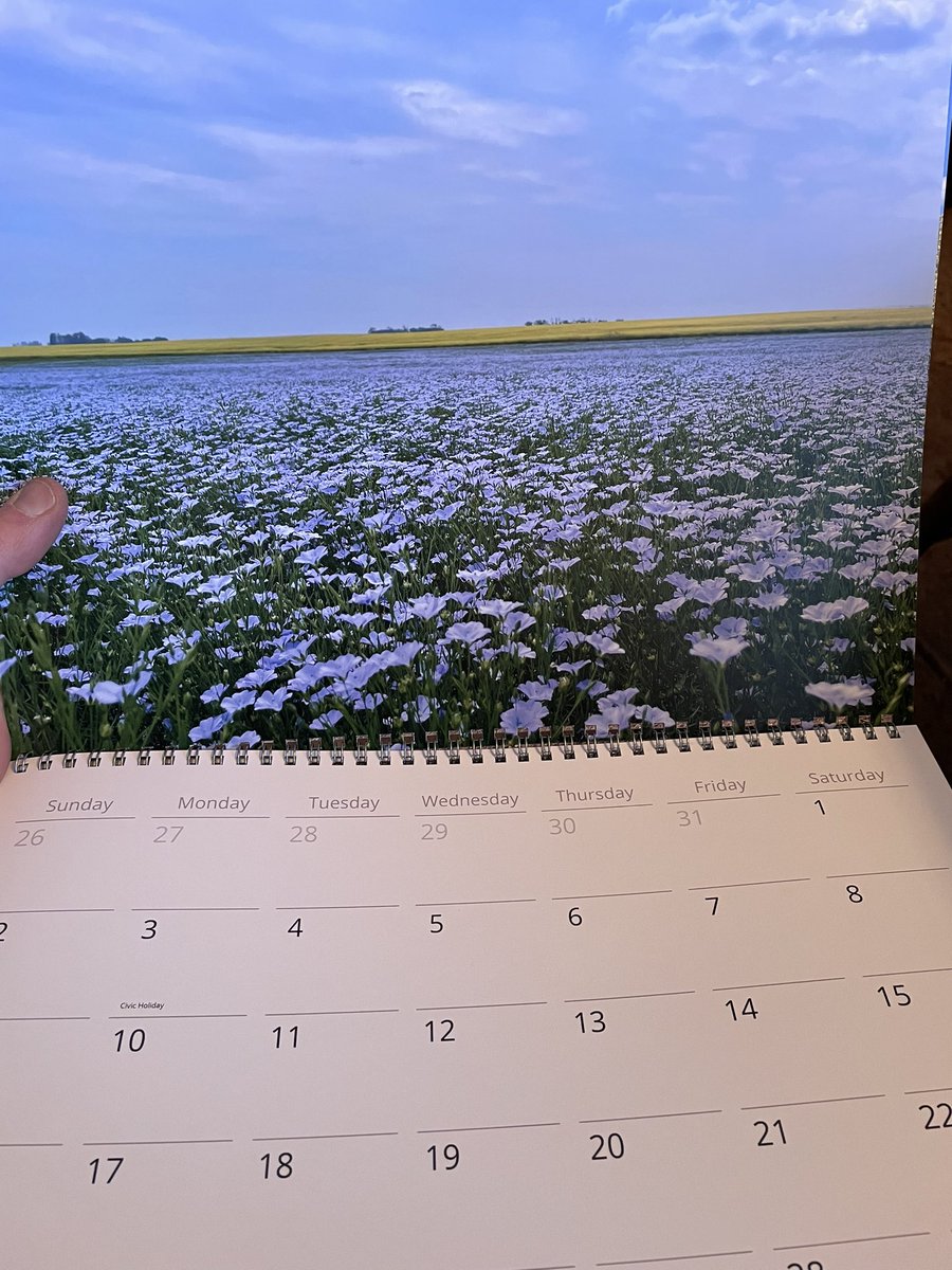 bscomet22's tweet image. Christmas 🎄 calender season for 🐦📷 customers 

I don’t wanna brag …. But may be some of my best work yet 😁😅😍