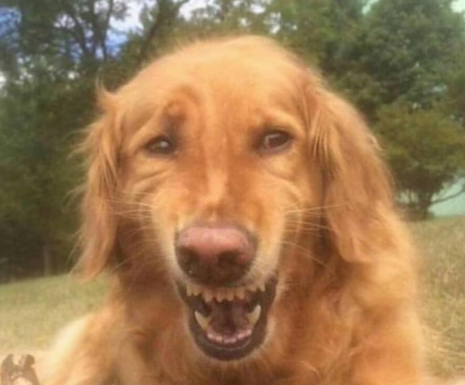 andyymcfc's tweet image. Match is over hahaha City what the fuck did I just watch