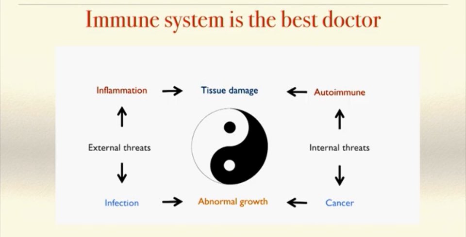 aihtheory's tweet image. Regulated proper levels of immune activity is the key to combat both internal and external “enemies” - not too little, not too much.