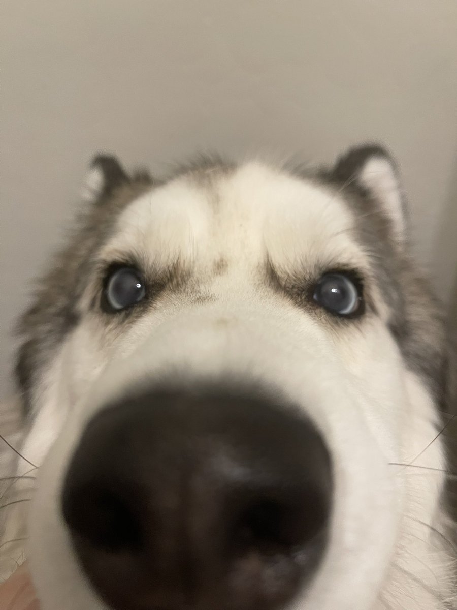 Live!!!! Twitch.tv/nrg_hamlinz