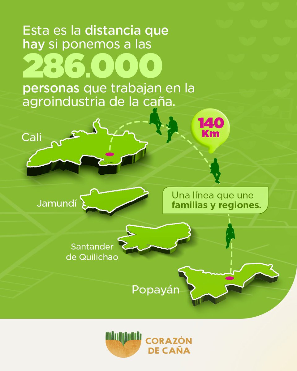 Imagina una fila de personas que se extiende desde Cali hasta Popayán… ¡y aún más allá!​

Así de largo sería si juntáramos a los 286.000 colombianos que representan una historia, una familia y una región que progresa en la agroindustria de la caña​
​
Porque cuando la caña crece,