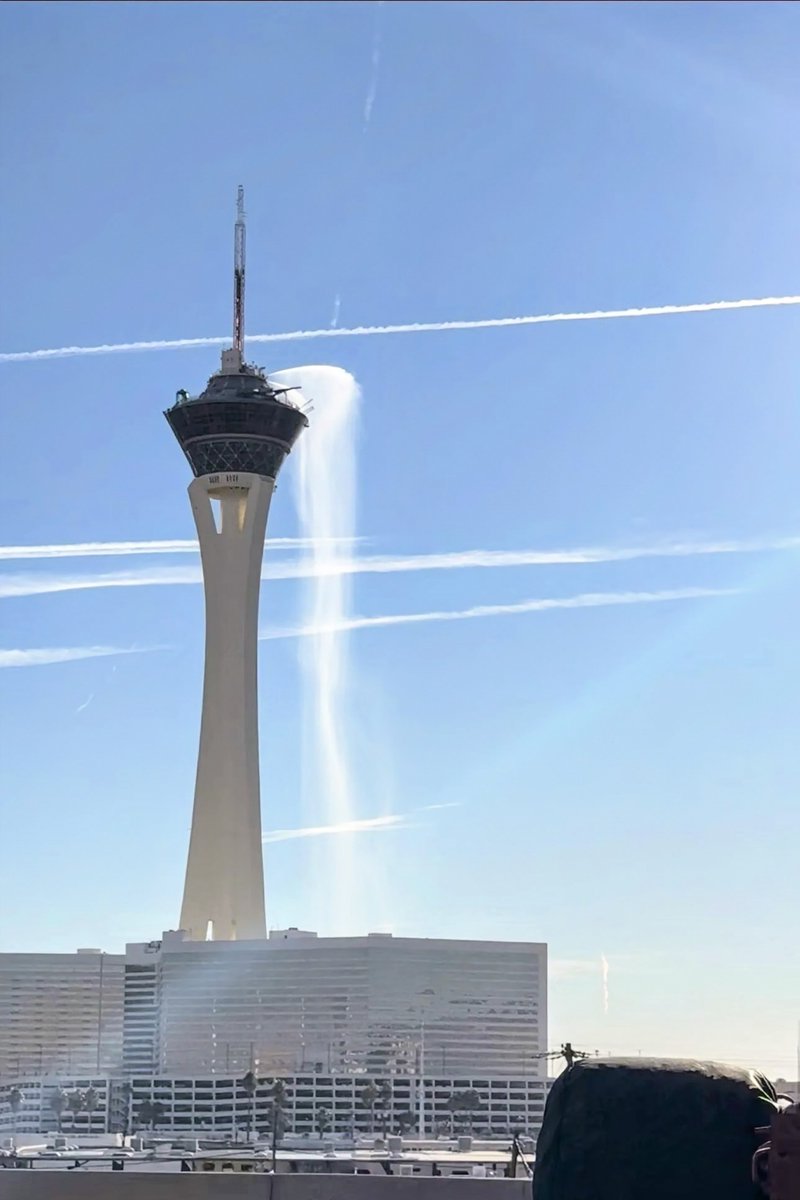 Las Vegas Locally 🌴 tweet media