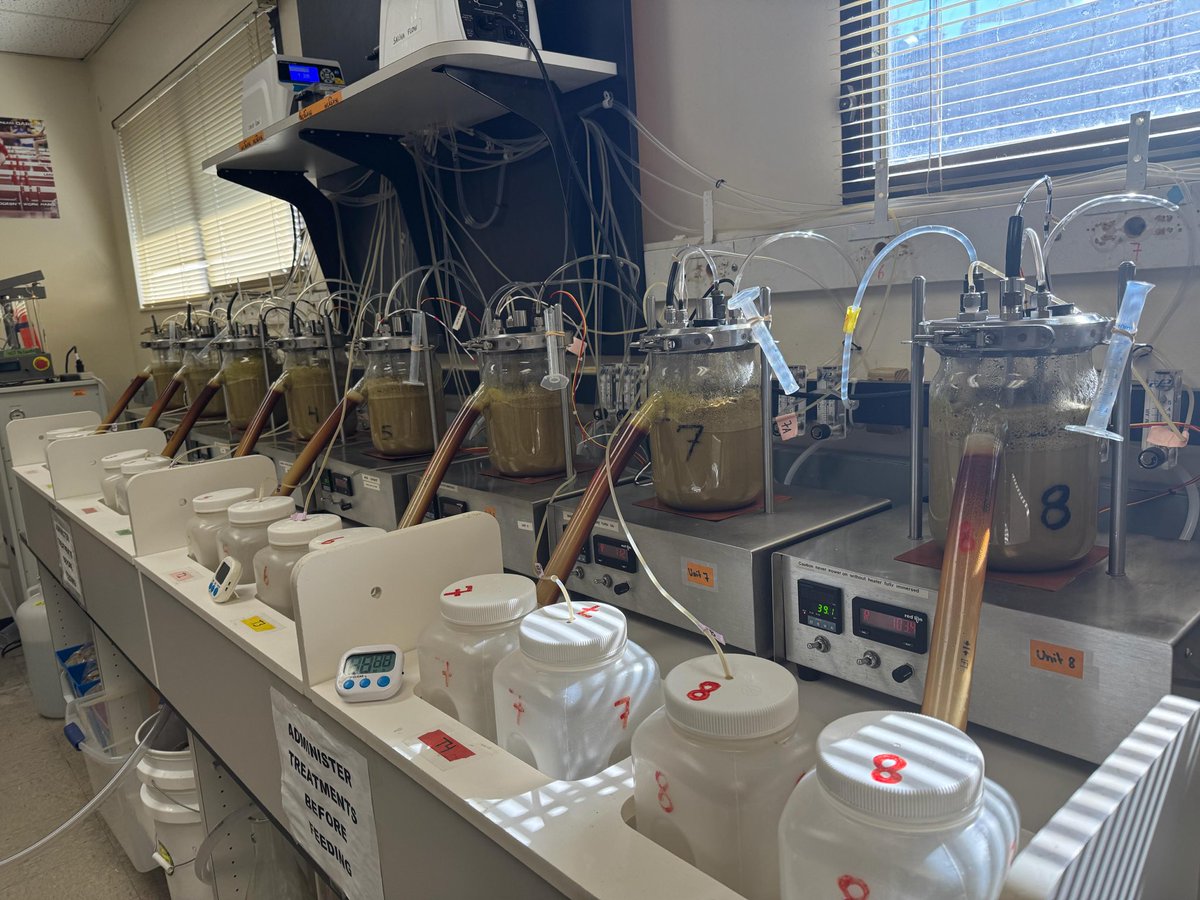 Antonio Faciola, Ph.D. tweet media