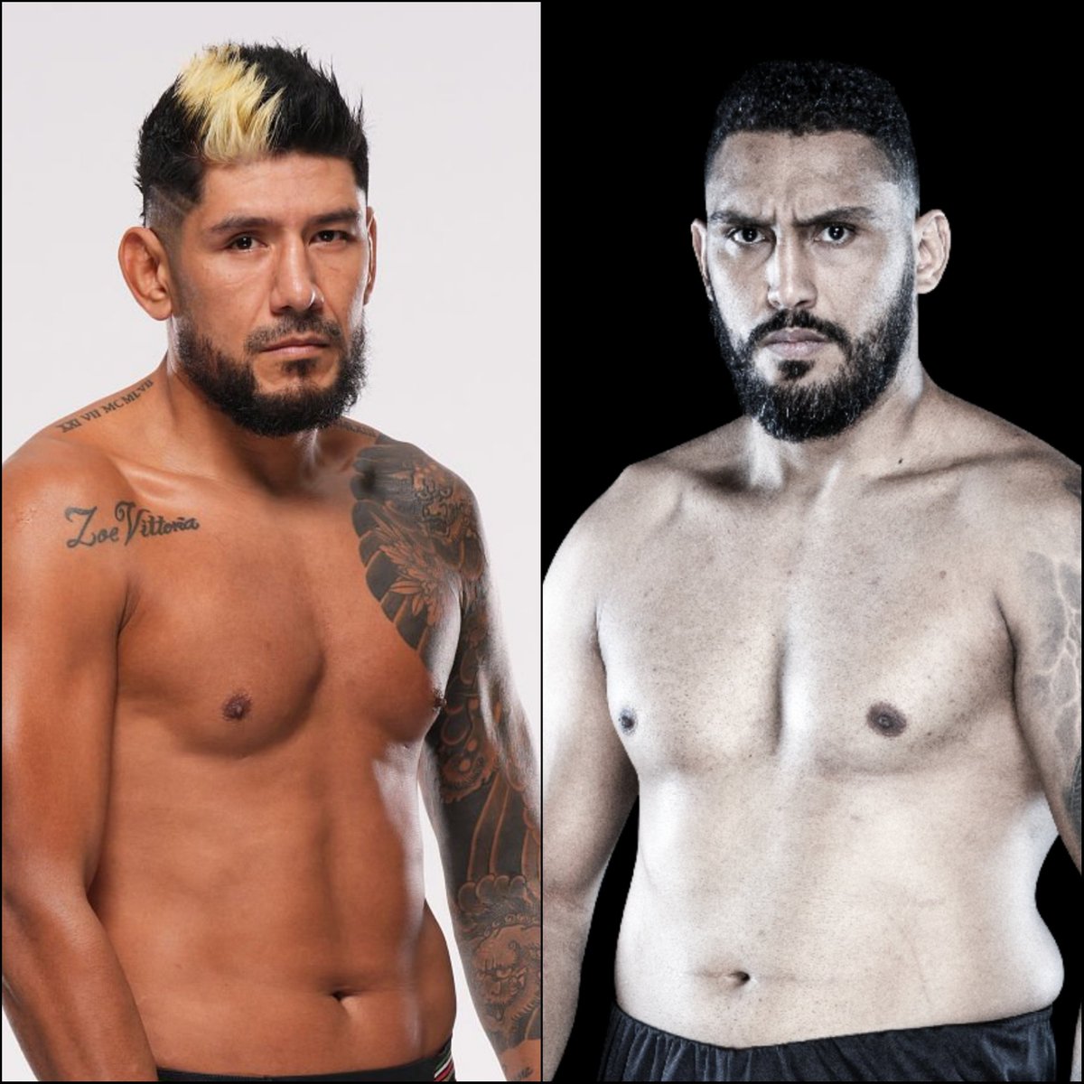 Marcel Dorff 🇳🇱🇮🇩 tweet media